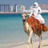 Immagine di ABU DHABI + DUBAI