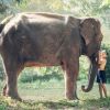 Immagine di TOUR DELLA THAILANDIA 