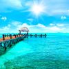Immagine di NEW YORK + MIAMI + CROCIERA CARAIBI